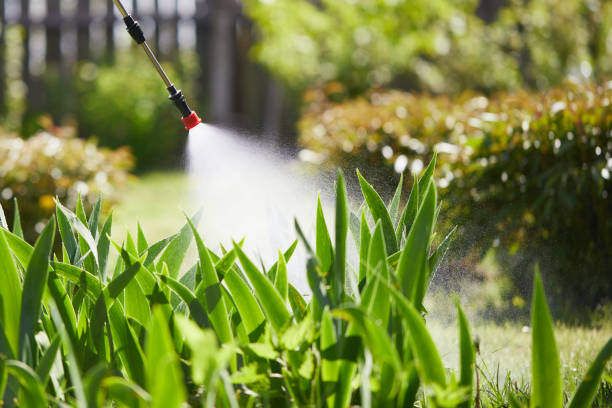24/7 Emergency Wasp Removal experts in Deer Park, IL